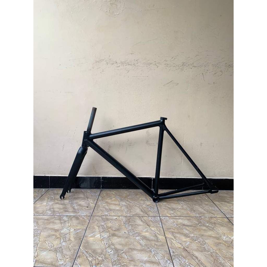 frame fixie custom