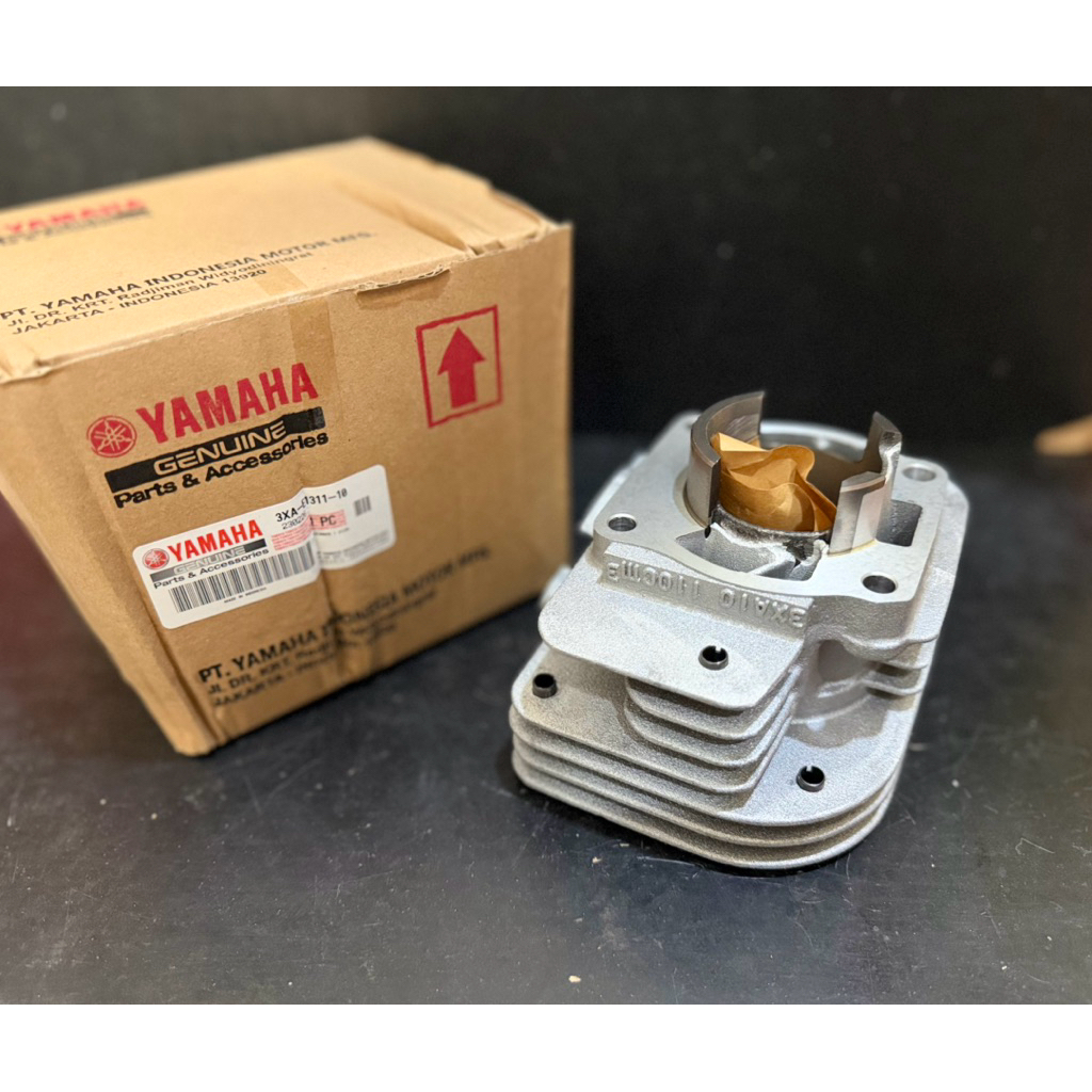 cylinder blok buring block 3xa yp-1 yp1 fizr f1zr fiz f1z r force 1 original yamaha