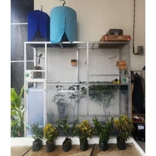 Kandang Koloni kandang umbaran murai lovebird dll