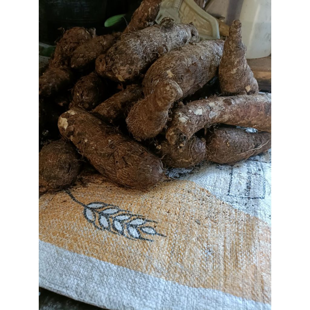 Ubi talas kimpul 1kg .pulen enak Raos(Talas kimpul)