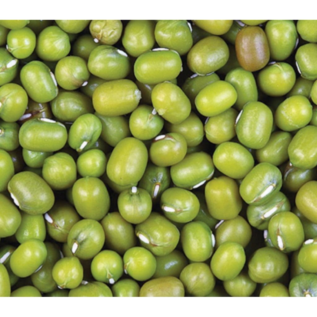 Kacang Hijau Biji Besar Bersih 1 Kg