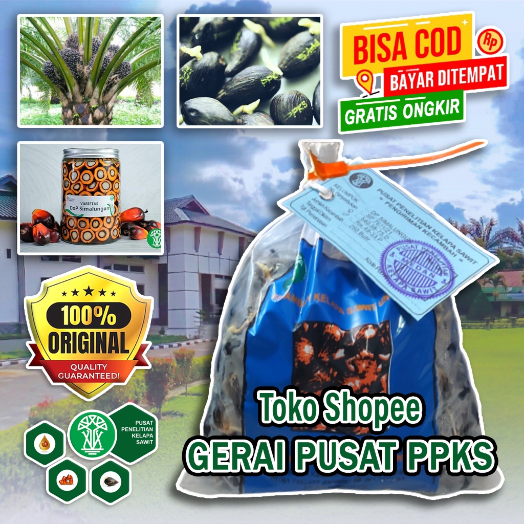 BENIH PPKS DXP SIMALUNGUN UNGGUL BESERTA SERTIFIKAT