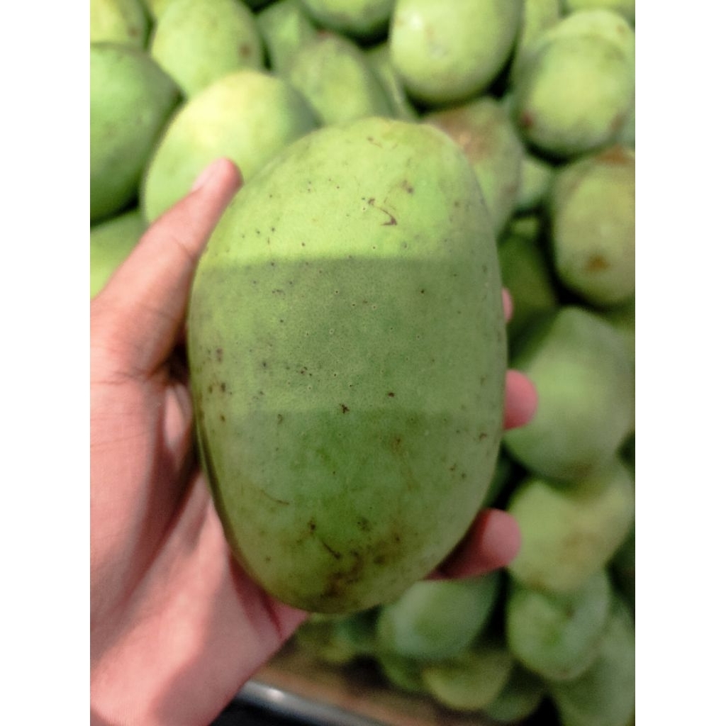 mangga kweni segar manis dengan bau khas mangga kweni 1kg