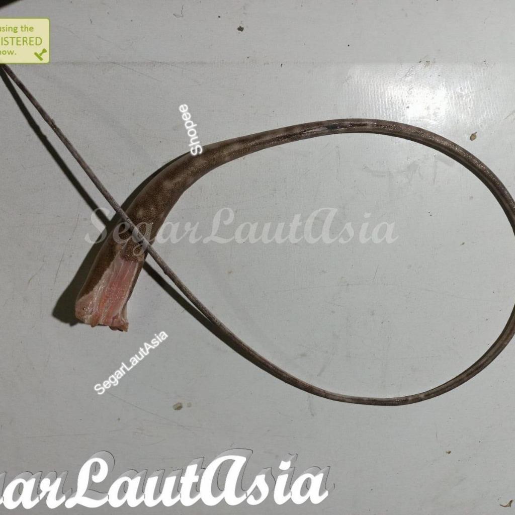 Buntut Ikan / Ekor Ikan / Pari Kering