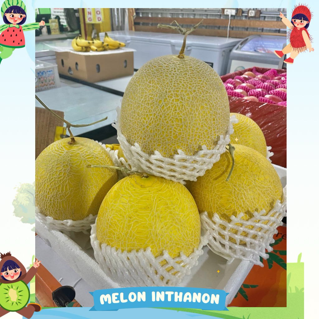 Melon Inthanon Manis