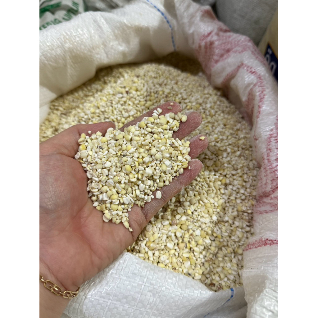 Biji JALI JALI 500g/ Beras Jali Jali/ Barley/ Iu bie Lokal