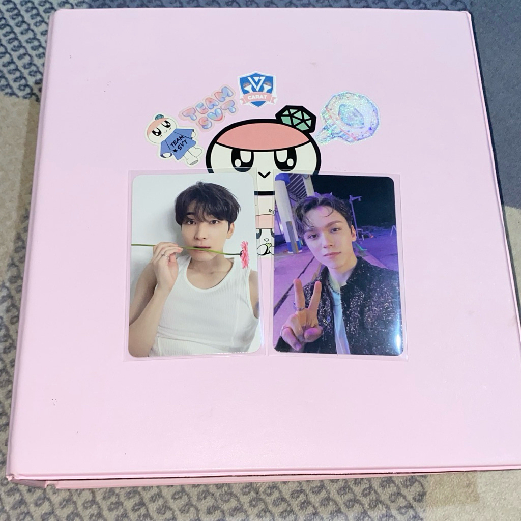 Wonwoo Vernon
