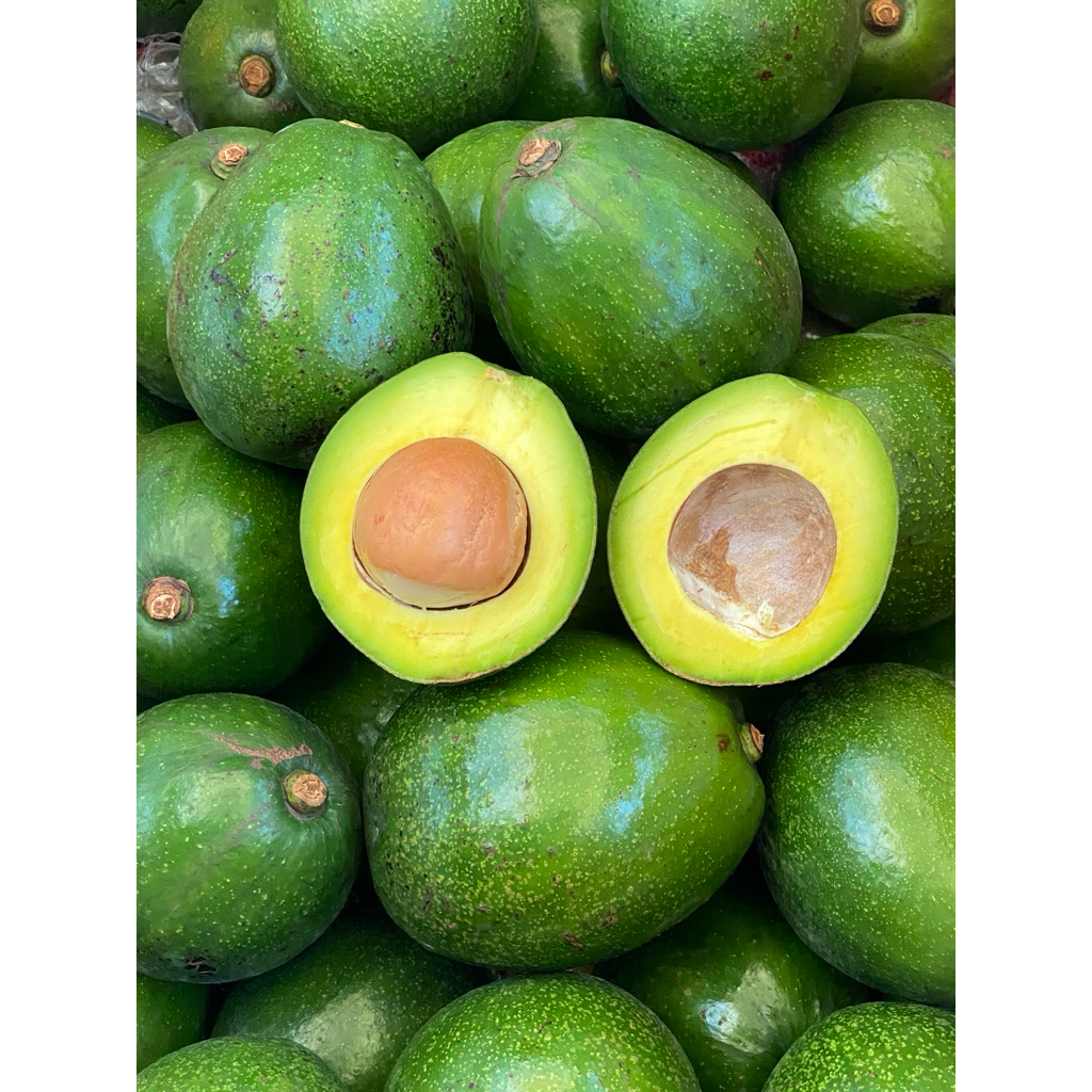 Alpukat Mentega Premium Miki 1kg Isi 2-3 buah (BISA COD)