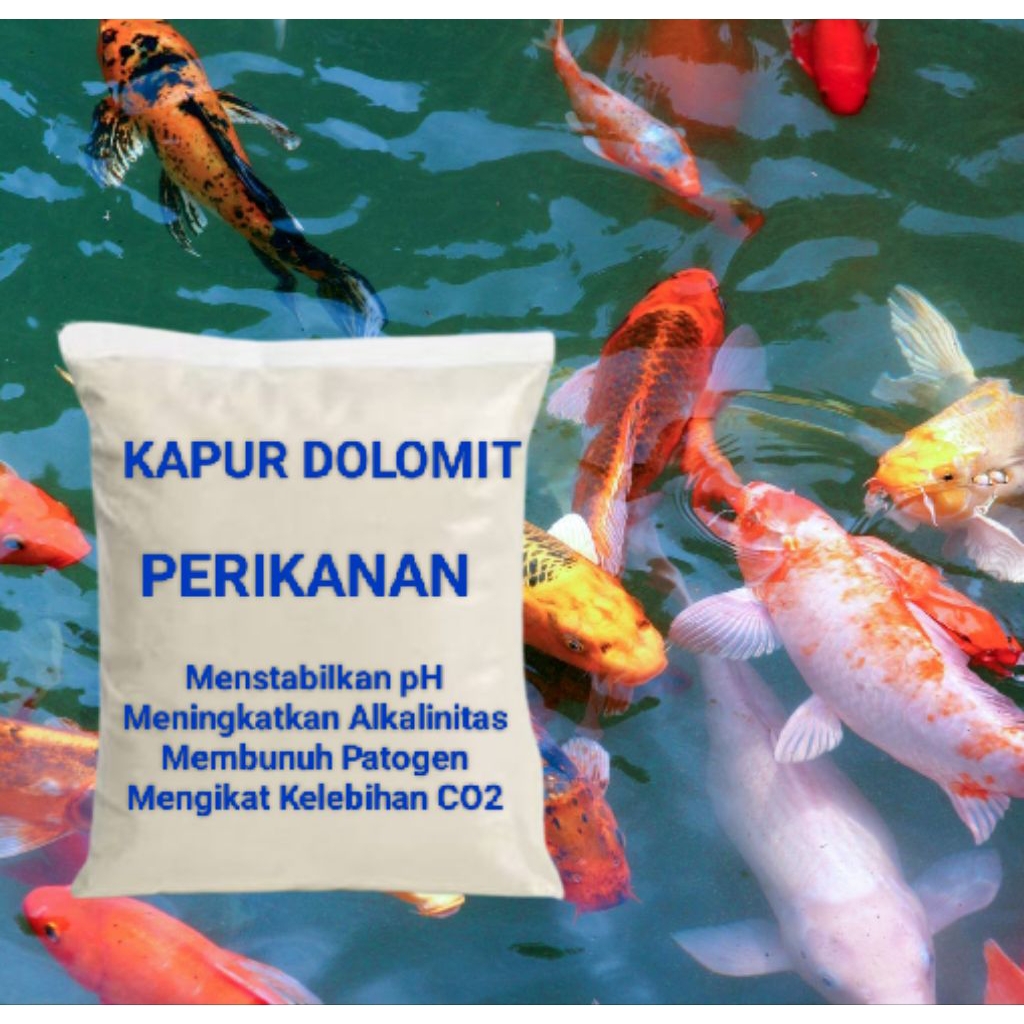 Kapur Dolomit Untuk Perikanan 500gr, Nila lele patin gurame udang lobster, Menetralkan pH Air