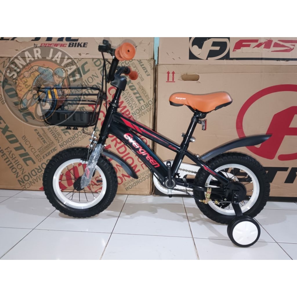 SEPEDA EVERGREEN 12 AKY EVAN