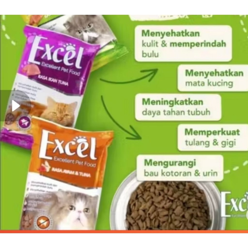 makanan kucing Excel kitten