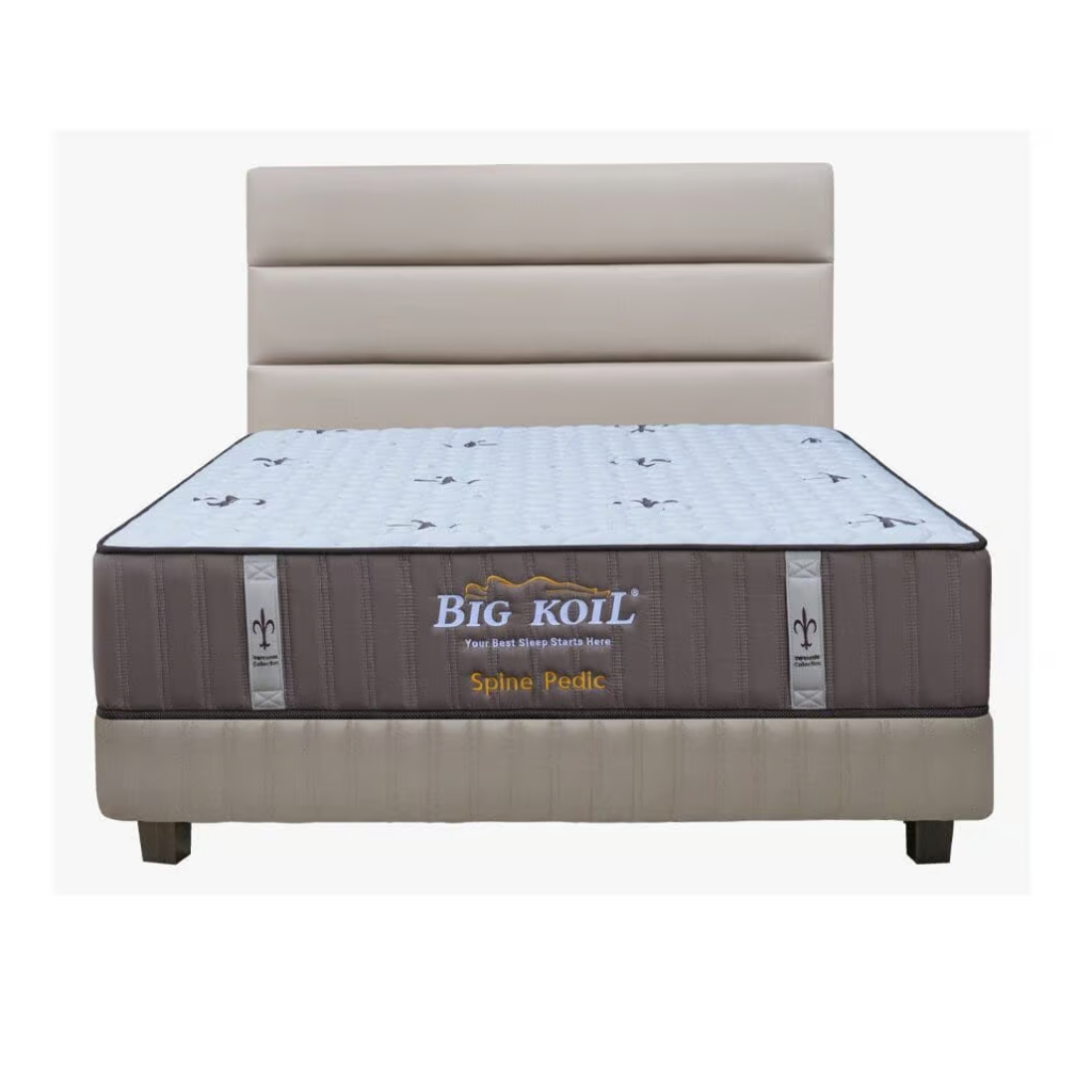 SET Springbed Big Koil Spine Pedic 32 cm by Bigland BigKoil