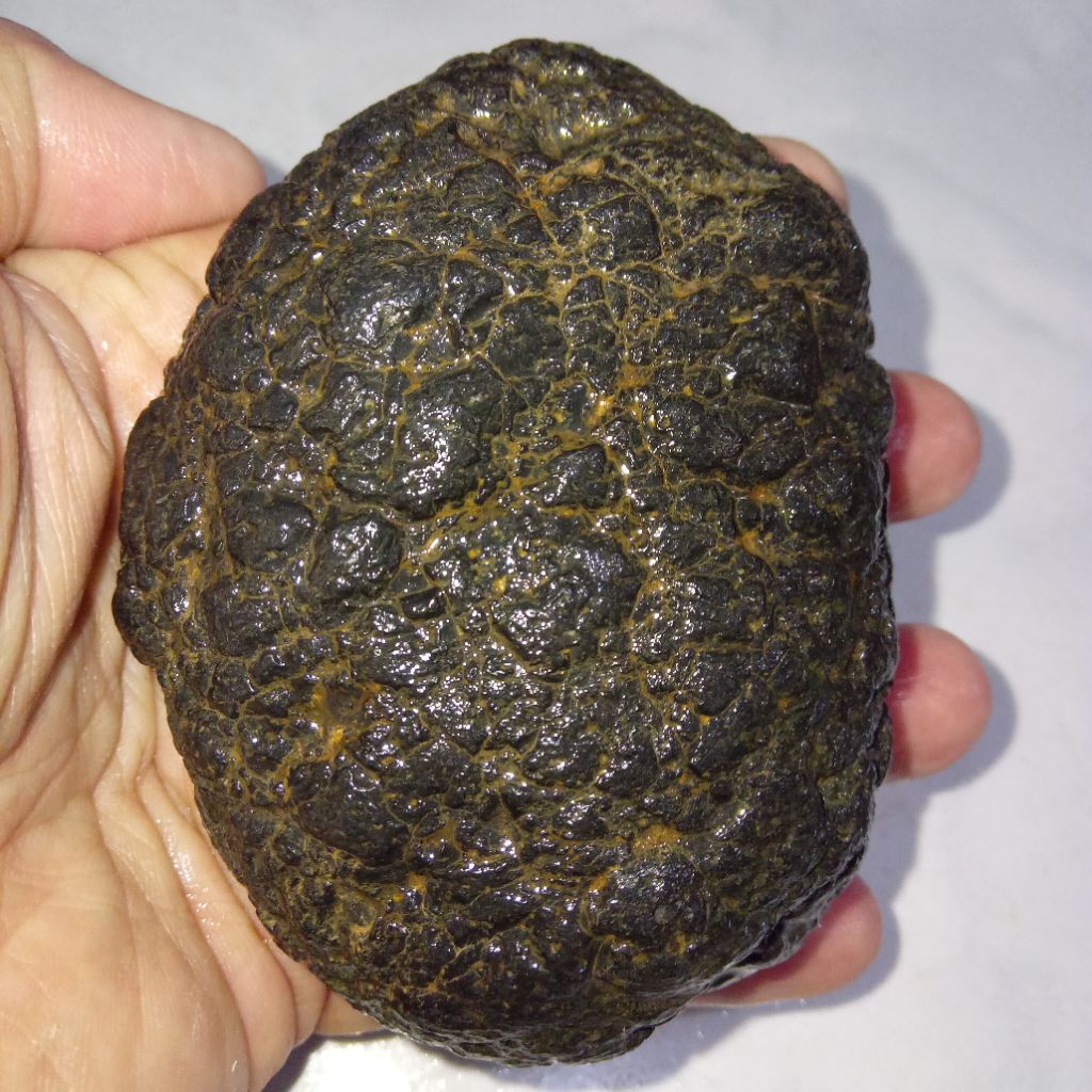 Original Batu Satam Jumbo Ukuran Besar Istimewa