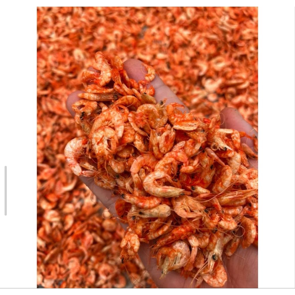 ebi Udang kering/ udang ebi1kg