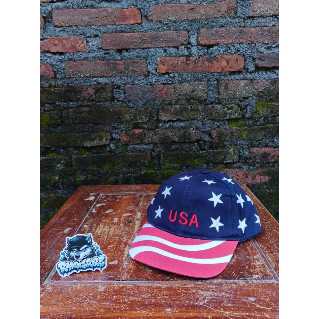 topi usa flag