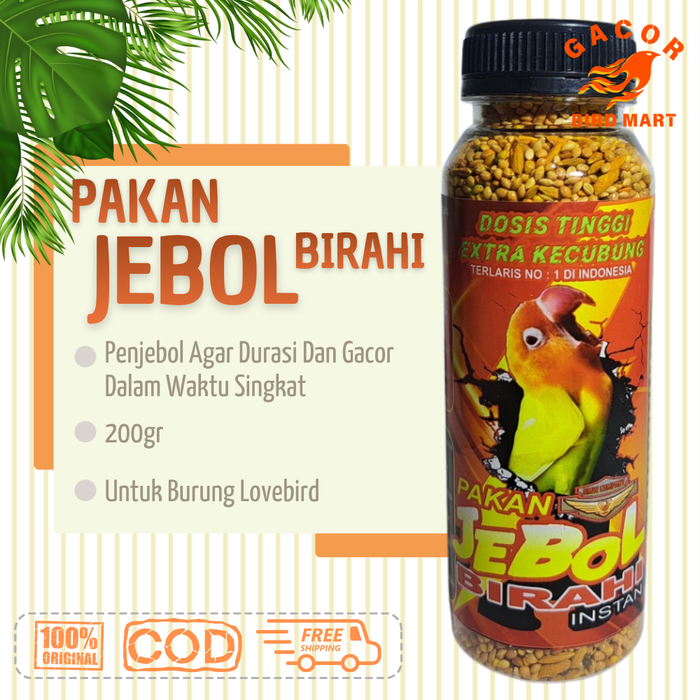 Pakan Jebol Birahi Lovebird Konslet Cepat Booster Ngekek Panjang Gacor Durasi Panjang Jantan Betina