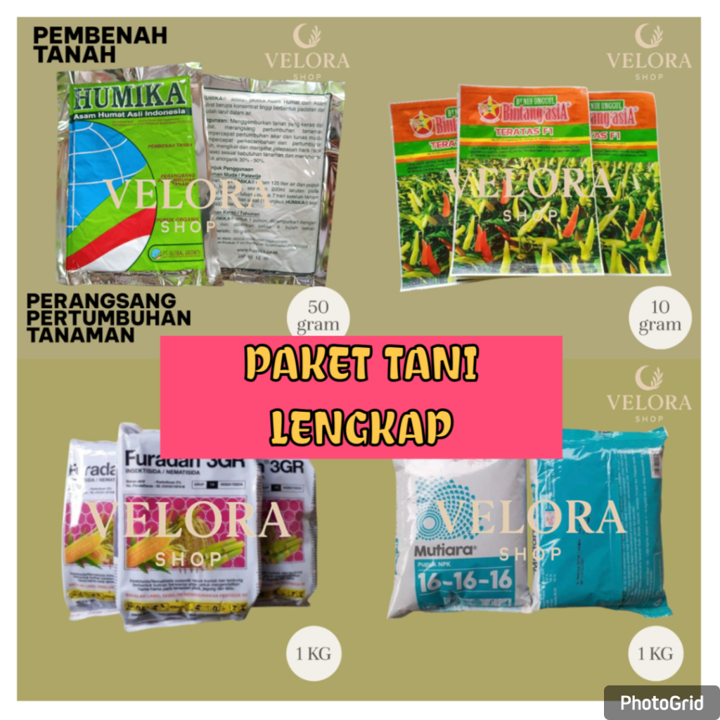 TERMURAH TERATAS F1 PAKET LENGKAP  /Benih Cabai Teratas furadan NPK dan Asam Humat HUMIKA
