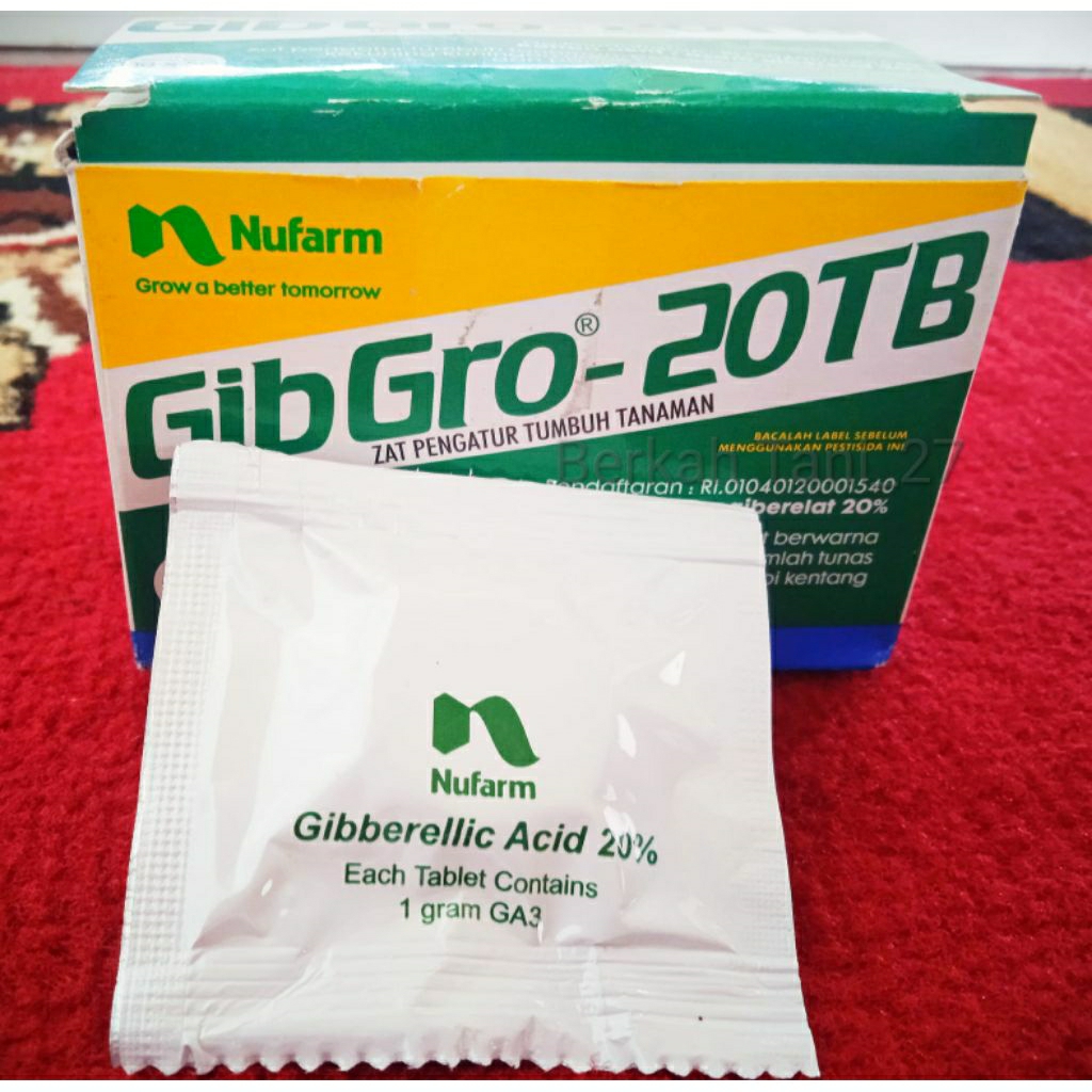 pil Gibgro 20TB zpt dengan GA3