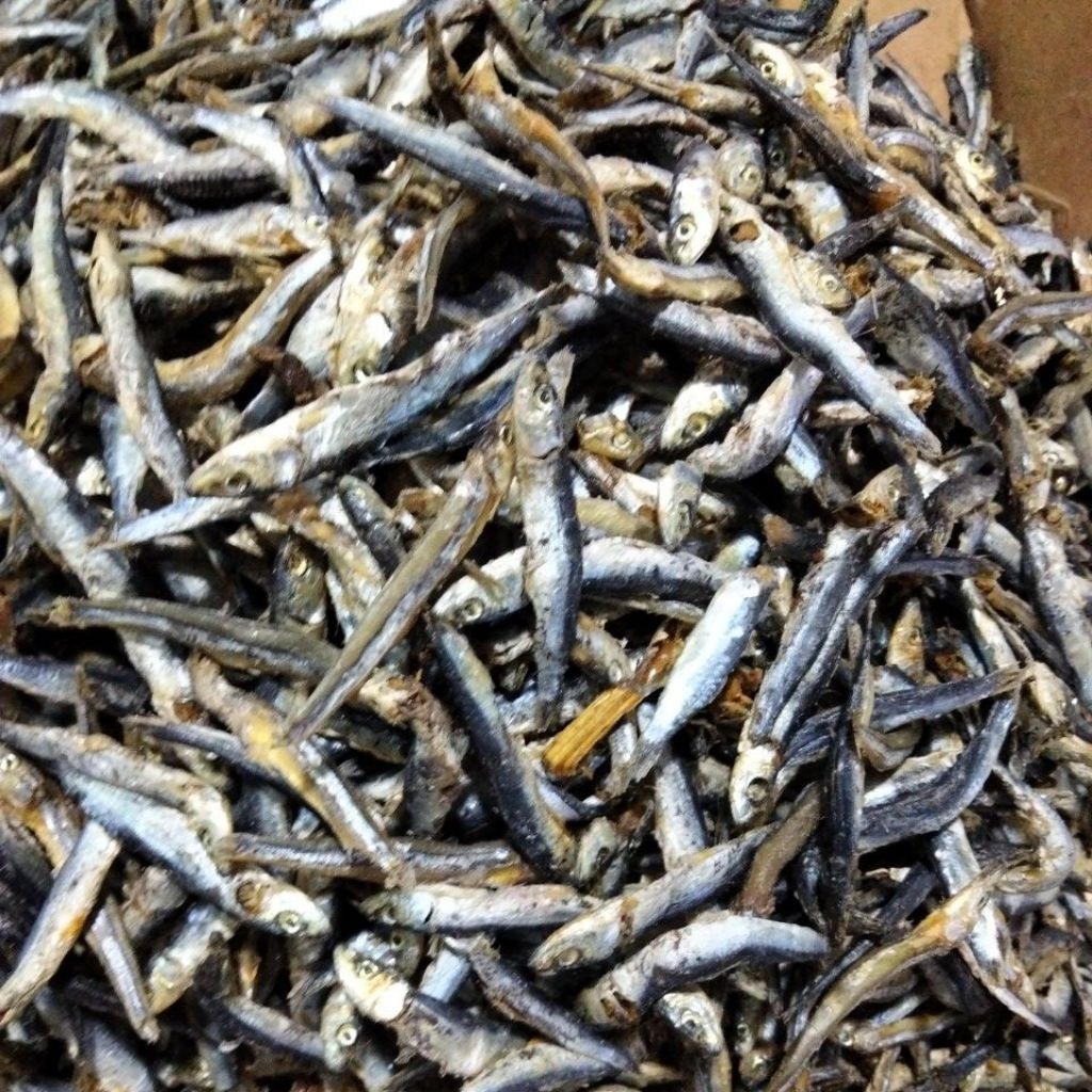 Ikan Asin teri batu hitam