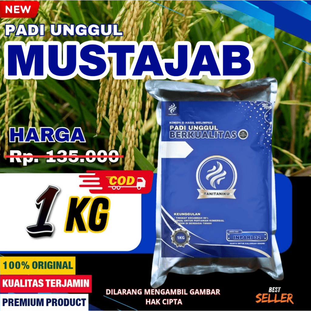 Benih Padi Mustajab Ukuran 1KG
