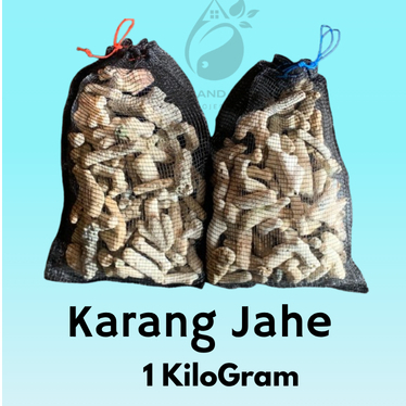 KARANG JAHE MEDIA FILTER 1kg