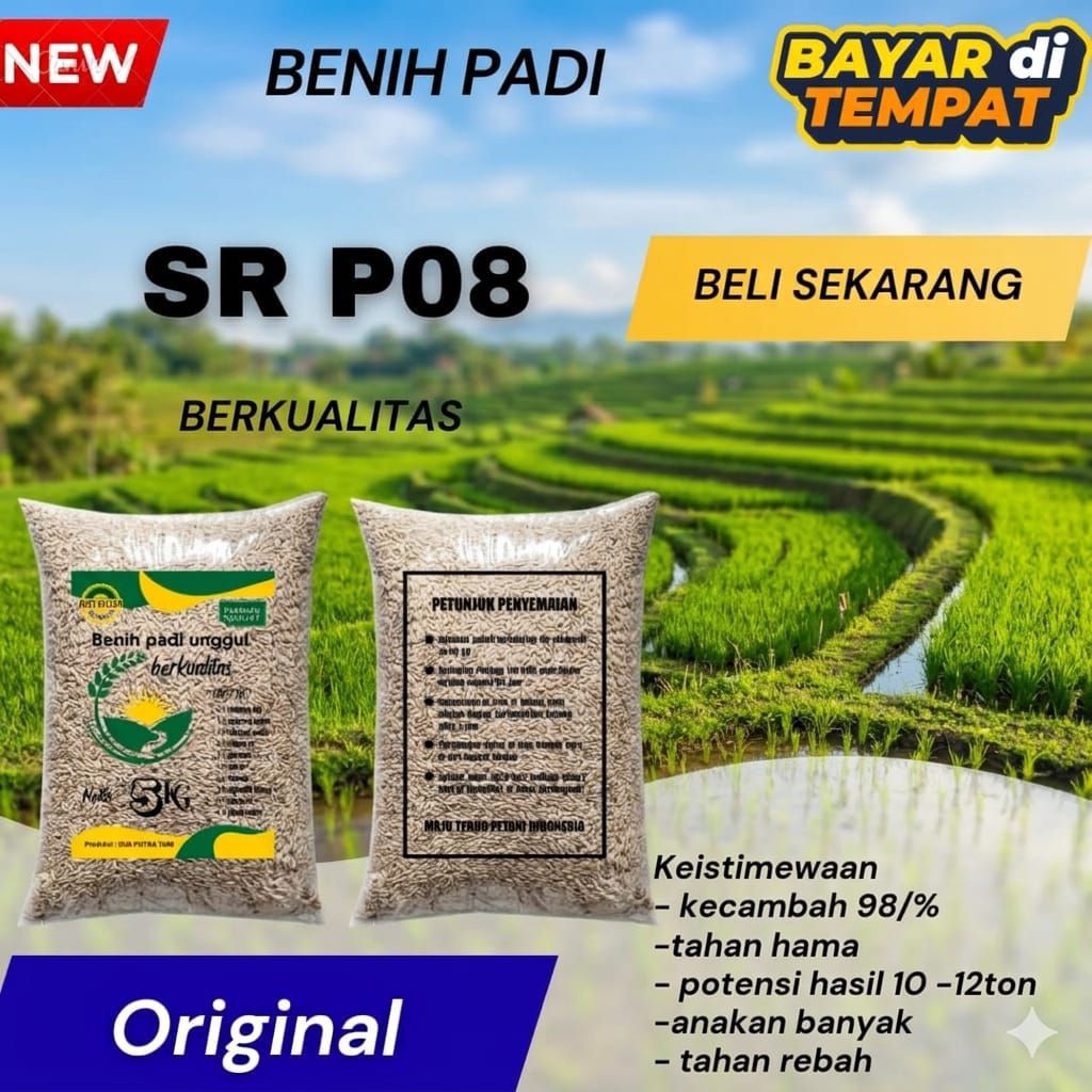 Bibit padi benih padi SR P08 premium kemasan 5kg