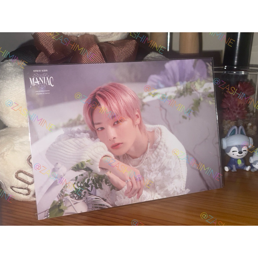 pc straykids skzoo 15 cm plush 15cm skzoo micro