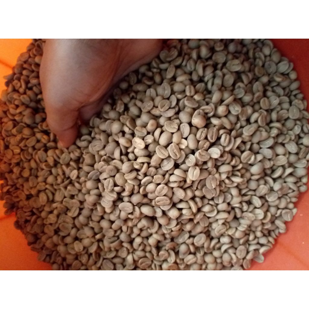 Green Bean Arabika Fullwash Argopuro 1KG - biji kopi mentah kopi Arabika Argopuro Hani Green