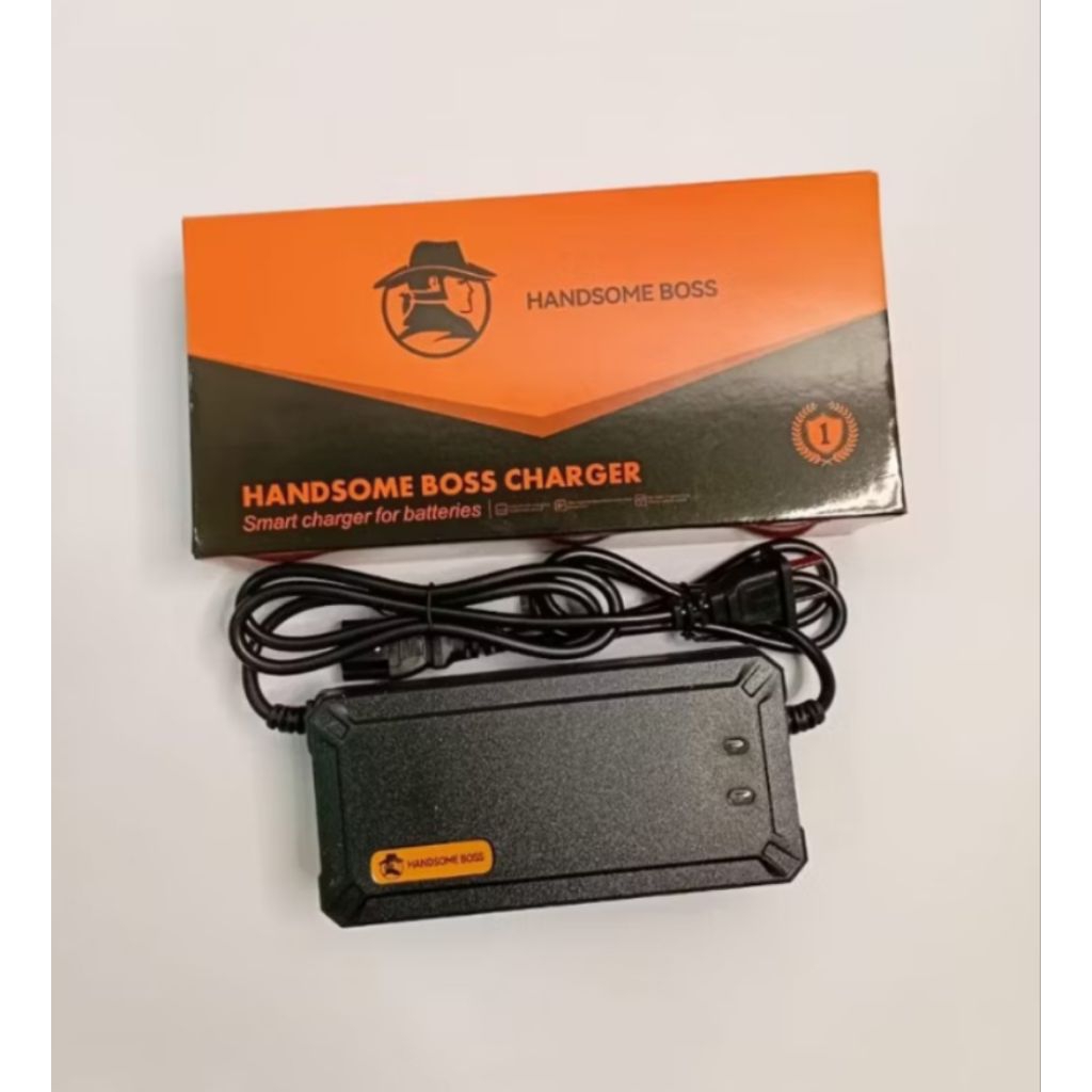 cas sepeda listrik charger sepeda listrik cas Selis charger selis