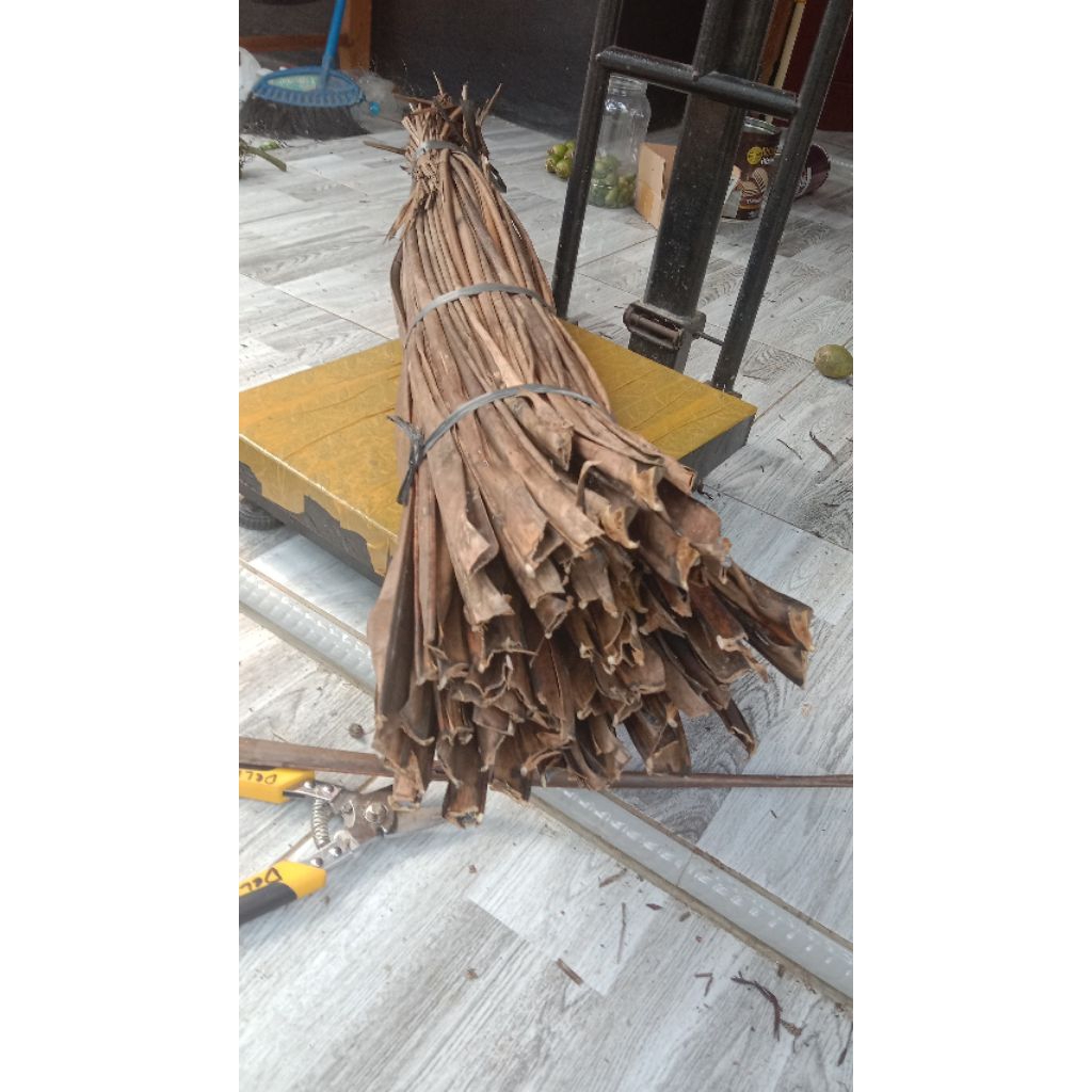 daun kelapa kering 3kg