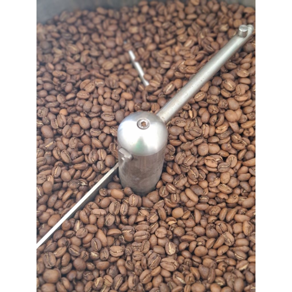 roasted bean/biji sangrai kopi robusta lampung 1kg