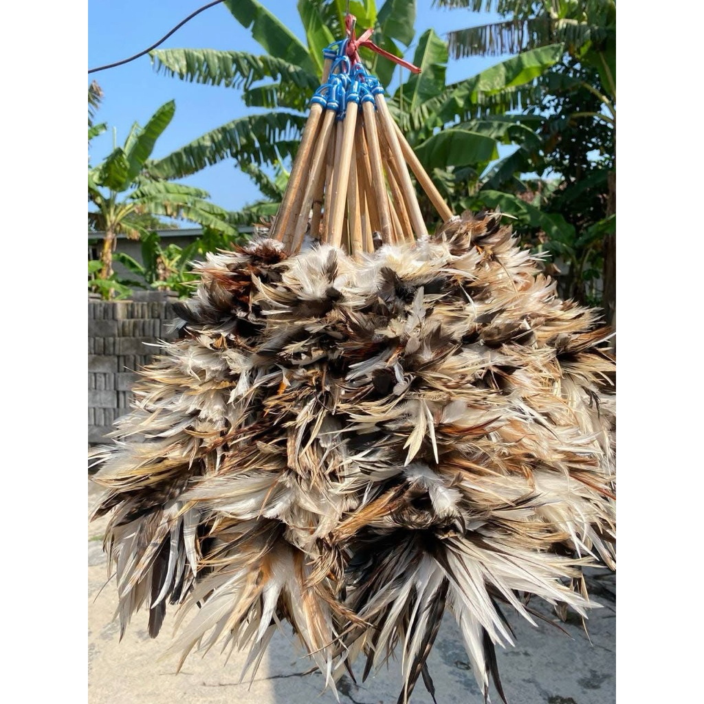 kemoceng bulu Ayam jago putih premium 40cm