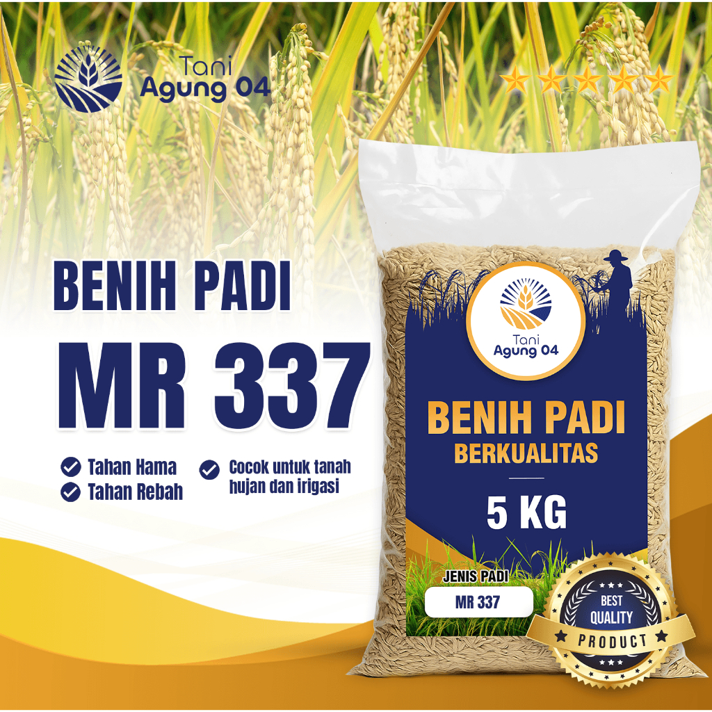Benih Padi Bibit Padi MR 337 Kualitas Original Kemasan 5 Kilo