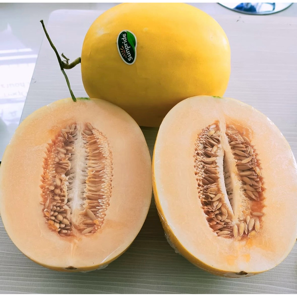 melon golden sunpride
