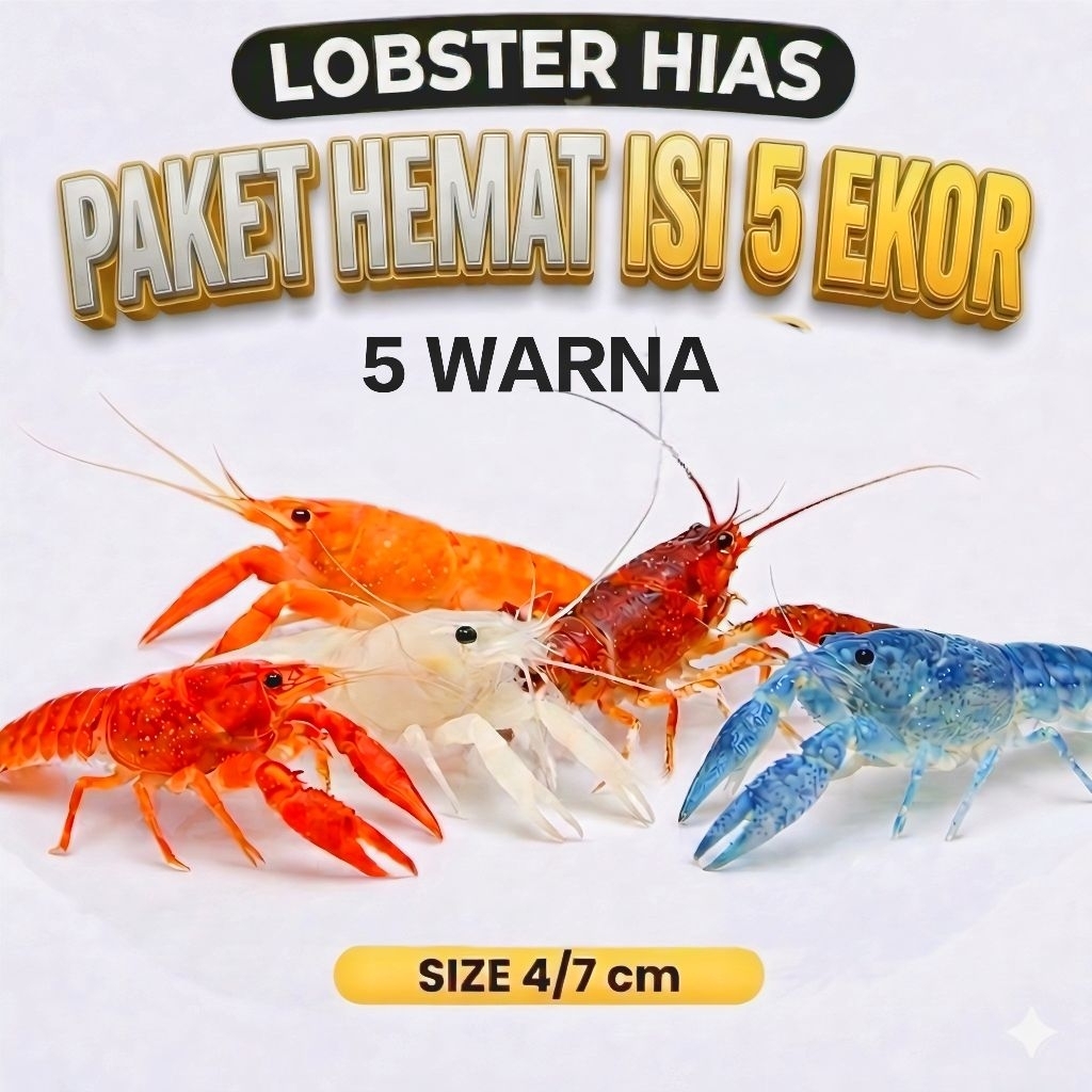 Lobster Hias Air Tawar paket 5 warna Blue/Oren/Red/putih Clarkii - Lobster  hias Aquarium/aquascape