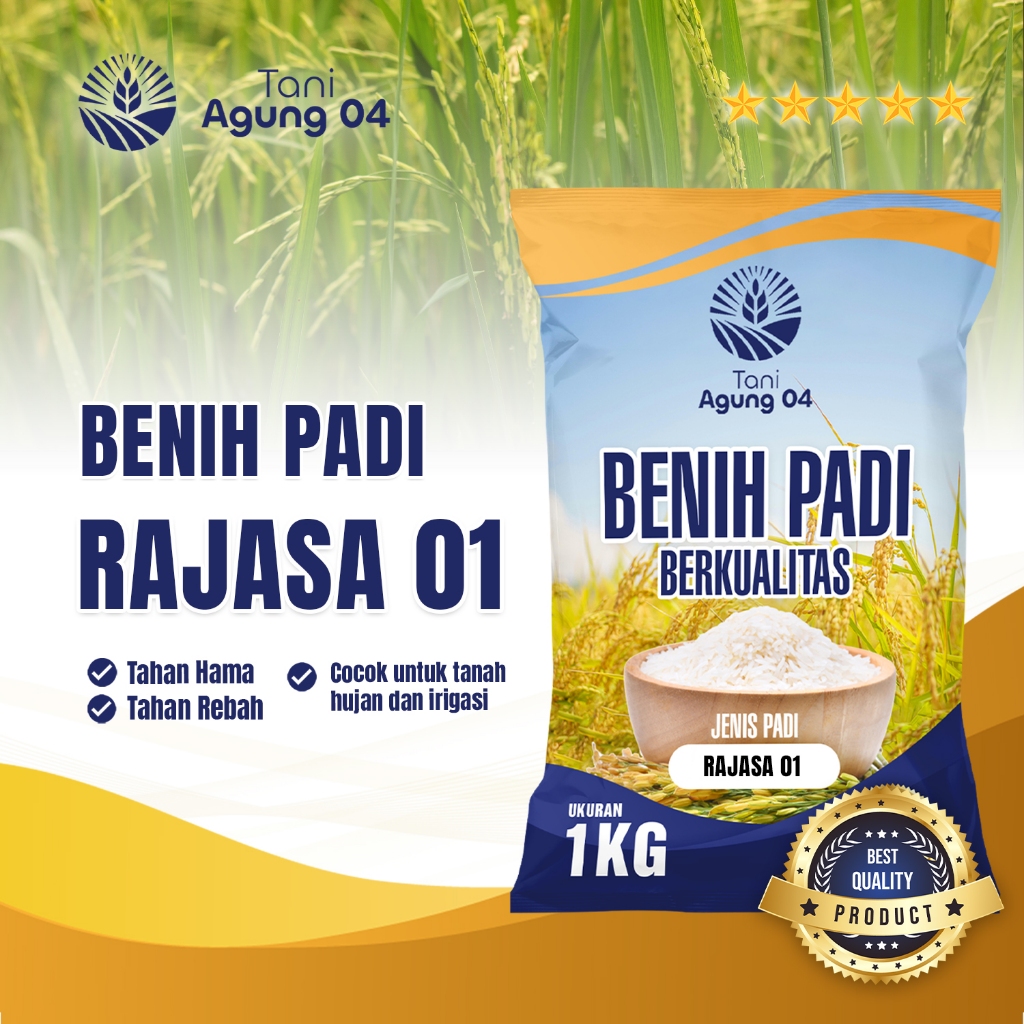 Benih Padi Bibit Padi RAJASA 01 Kualitas Original Kemasan 1 Kilo