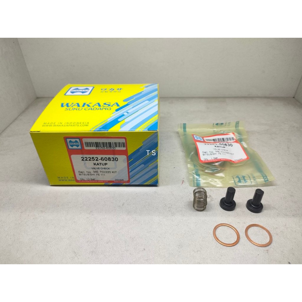 Klep Pompa Solar FE PS100 FUSO