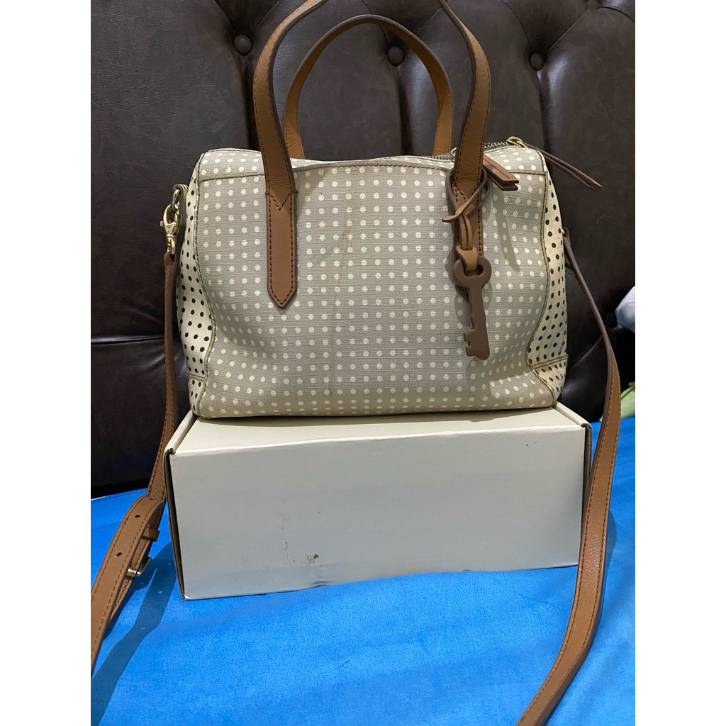 Tas Fossil