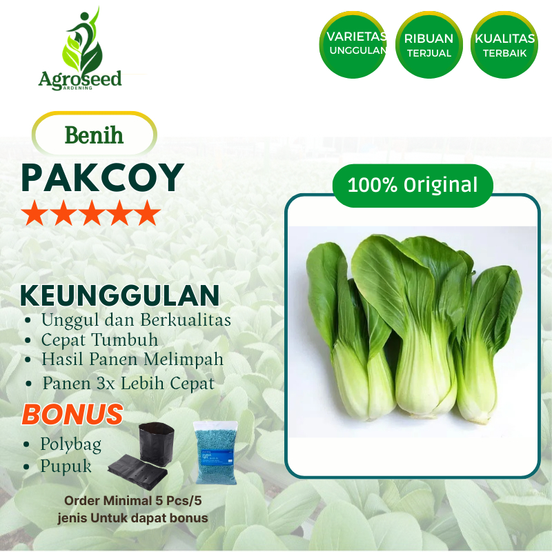 30 Benih Pakcoy Bibit Unggul Tanaman Hidroponik