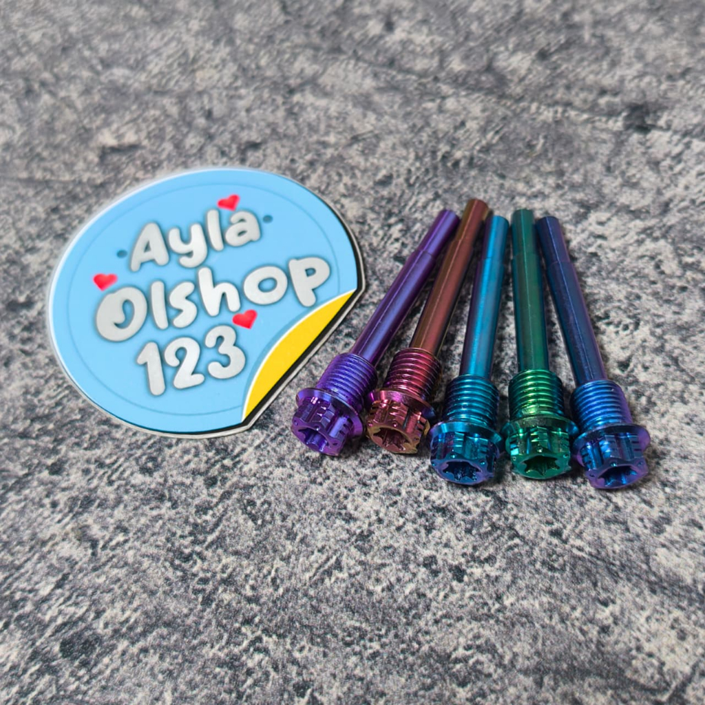 Pin Tojosan Kaliper Nissin Titanium GR5 Original Vietnam / Tojosan kaliper nissin titanium