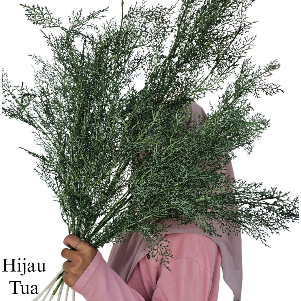 Daun Cemara Asparagus Tangkai Panjang/ Artificial Smoke Bush