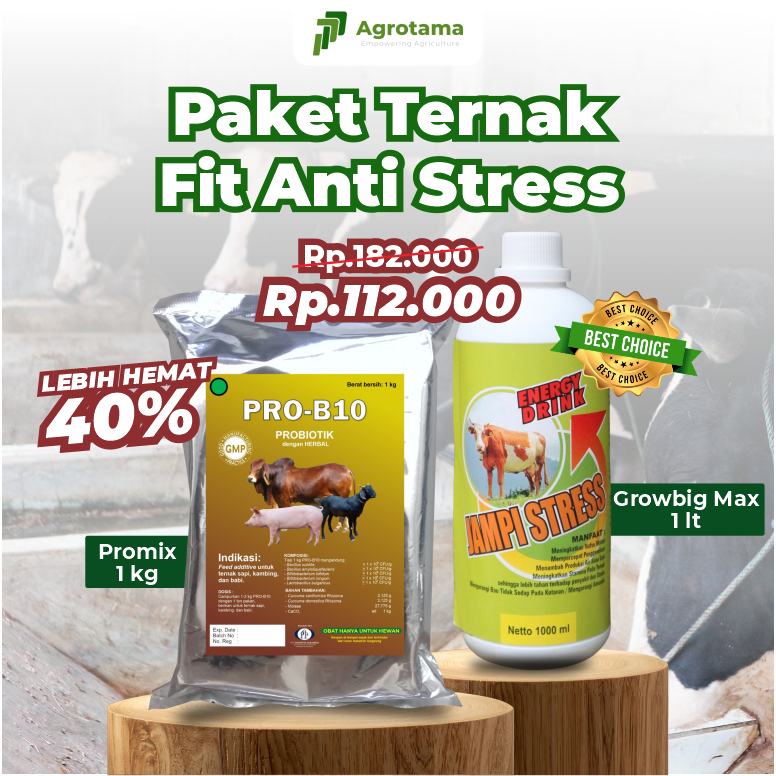 Paket Lengkap Probiotik Ternak Sapi - Pro-B10 (1 Kg) dan Jampi Stres Sapi (1 L) - Meningkatkan perfo