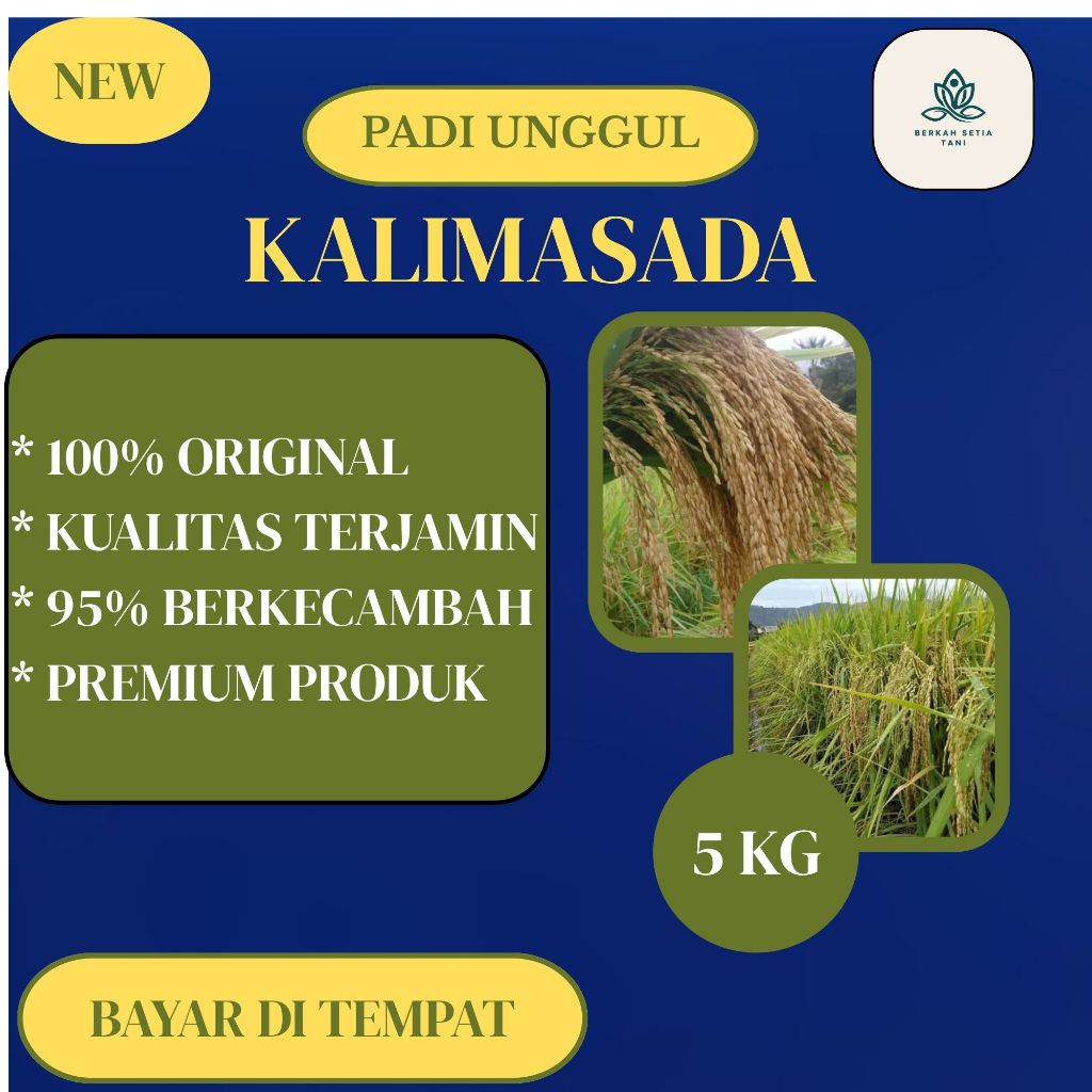 Benih Bibit Padi Unggul KALIMASADA Kemasan 5kg Kwalitas Premium