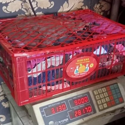 Keranjang Buah Bekas + Lap Majun 3KG | Lap Industri Tebal, Banyak & Awet