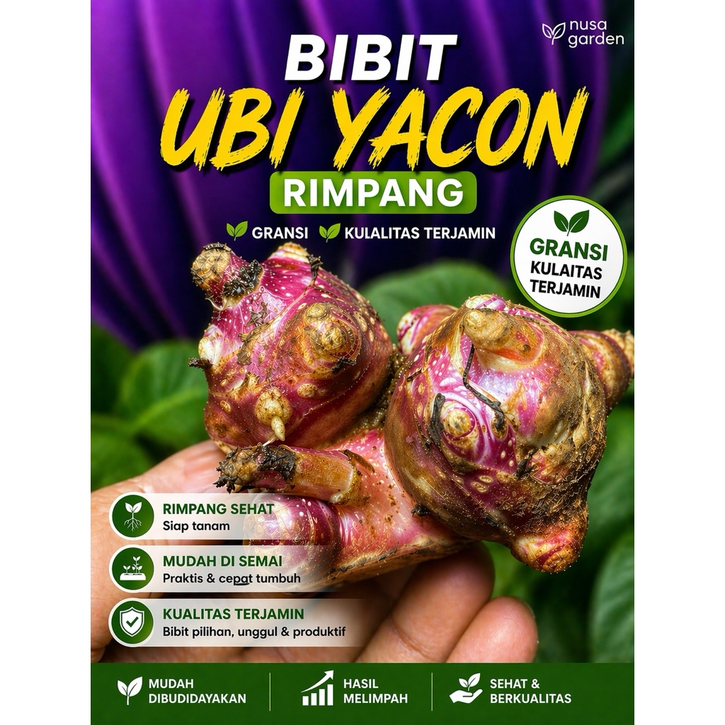bibit ubi yacon kualitas super hemat prtpotong