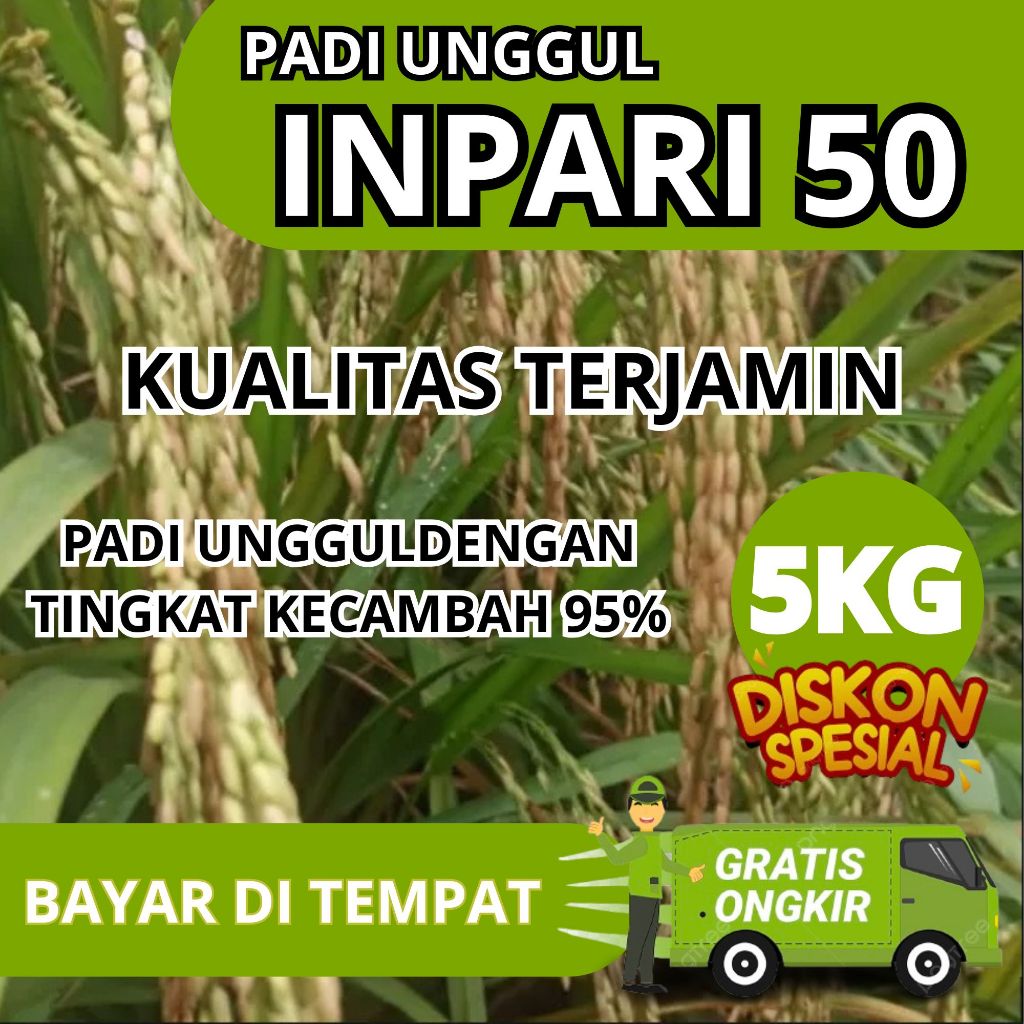 Benih Padi Inpari 50 Marem 5kg Benih Padi Unggul Bibit Padi unggul