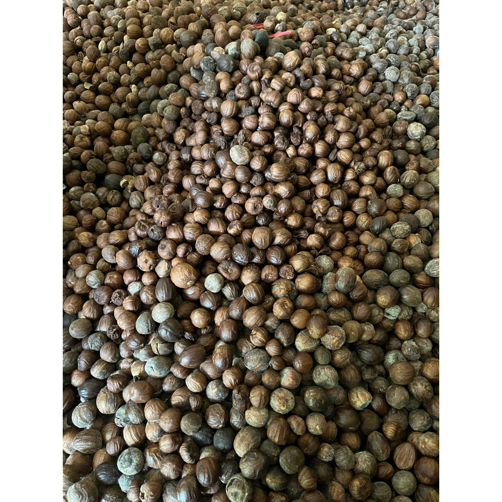 buah pala kering 1kg