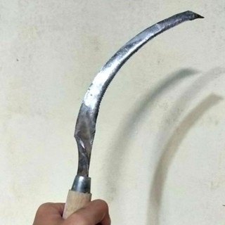 PANEN PADI ALAT PANEN PADI ALAT POTONG PADI SABIT PADI