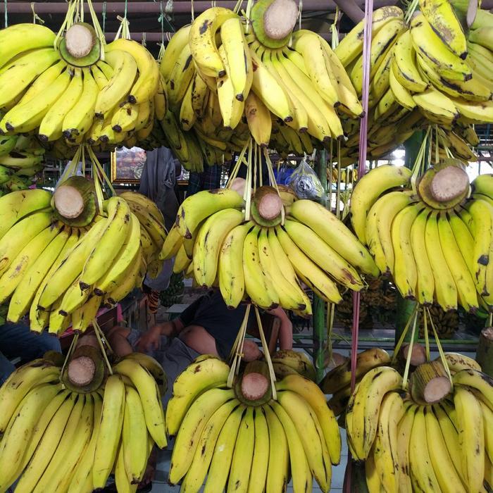 BUAH PISANG AMBON LOKAL 1 Sisir Pisang Ambon Kuning 1sisir