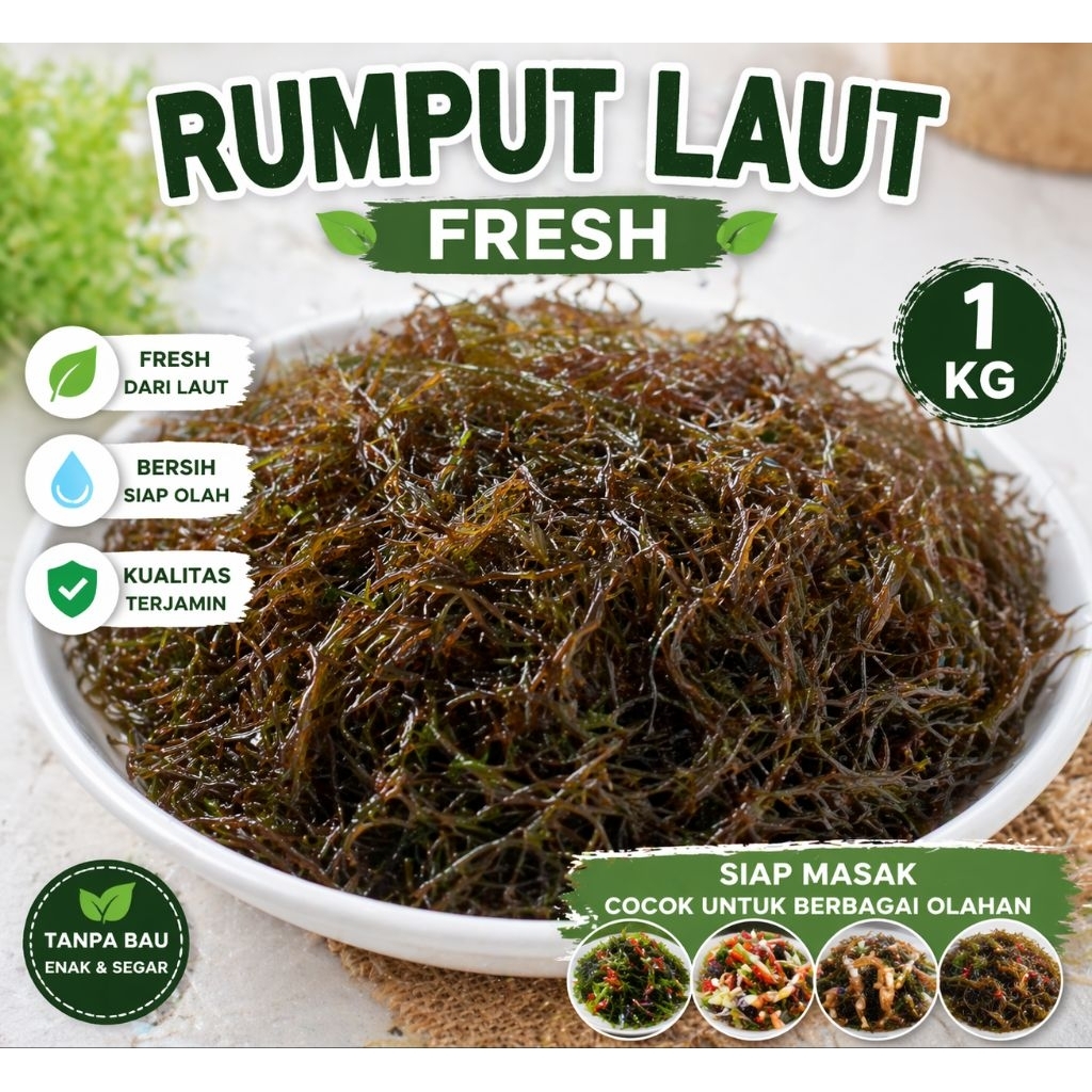 RUMPUT LAUT FRESH / BASAH 1 KG